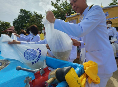 กิจกรรมเฉลิมพระเกียรติ พระบาทสมเด็จพระเจ้าอยู่หัว ... พารามิเตอร์รูปภาพ 18